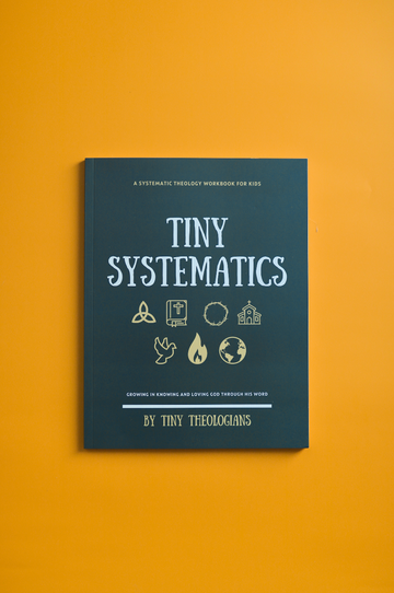 Tiny Systematics Workbook